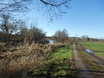 Wiosenne dni kalendarzowej zimy, <p>W.Pogorzelska</p>